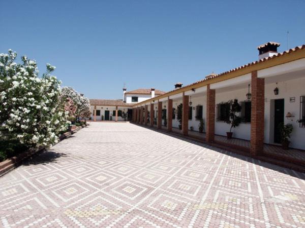 Cortijo De Frias Apartment Cabra Exterior photo