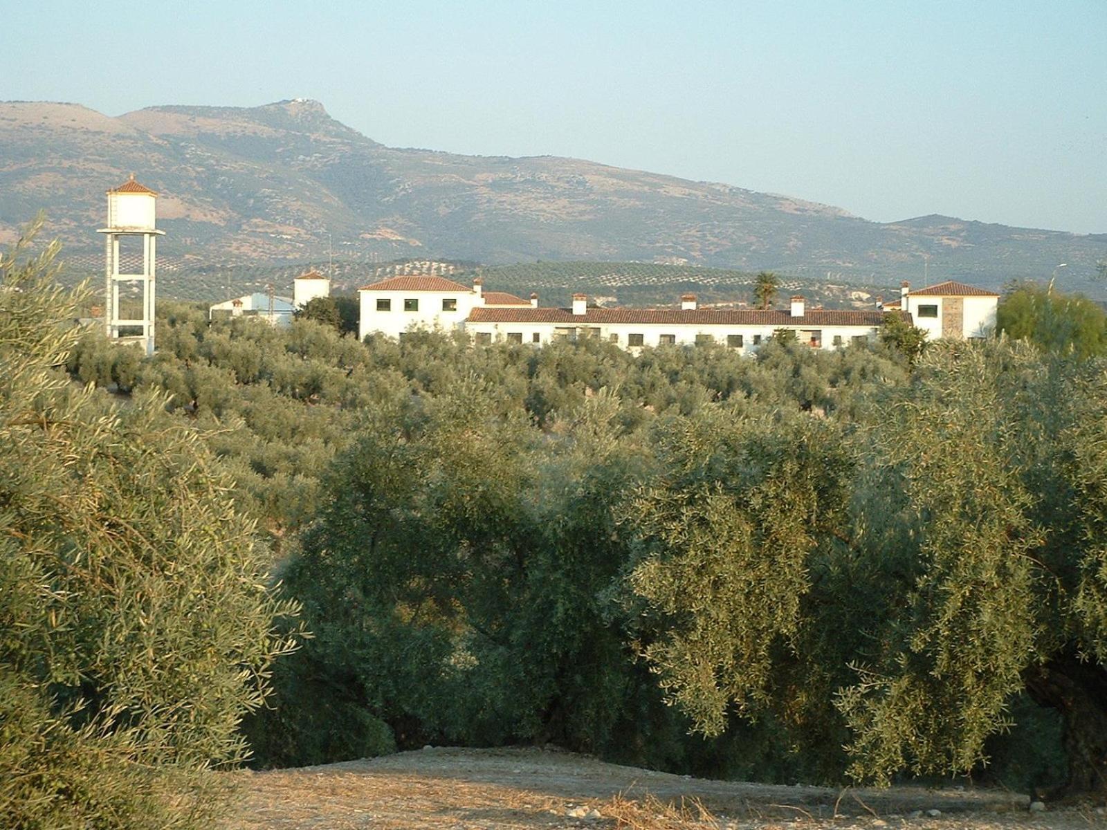 Cortijo De Frias Apartment Cabra Exterior photo